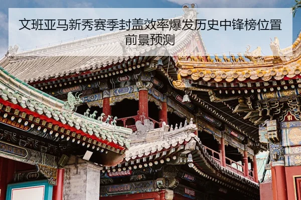 文班亚马新秀赛季封盖效率爆发历史中锋榜位置前景预测