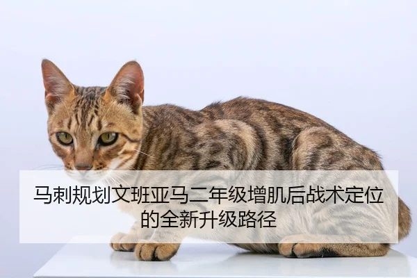 马刺规划文班亚马二年级增肌后战术定位的全新升级路径